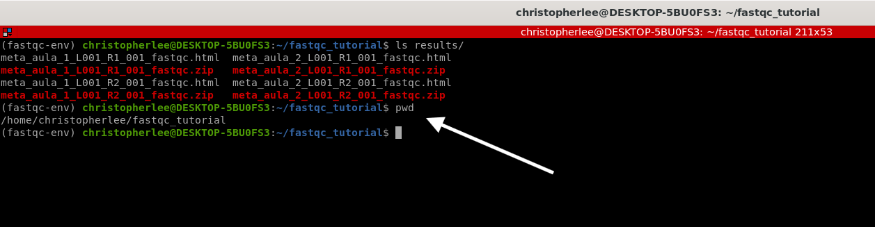 FastQC 1