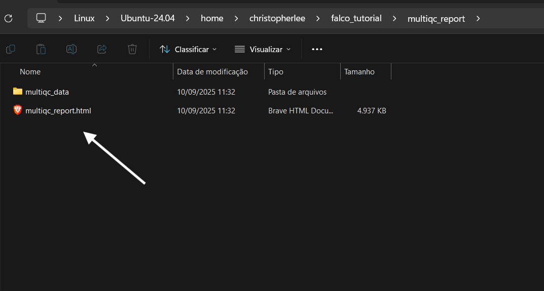 MultiQC 1