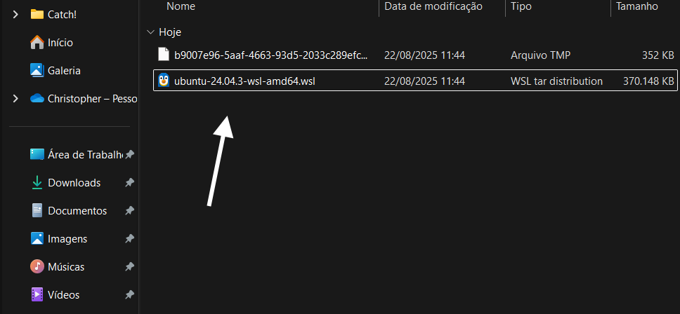 WSL 3