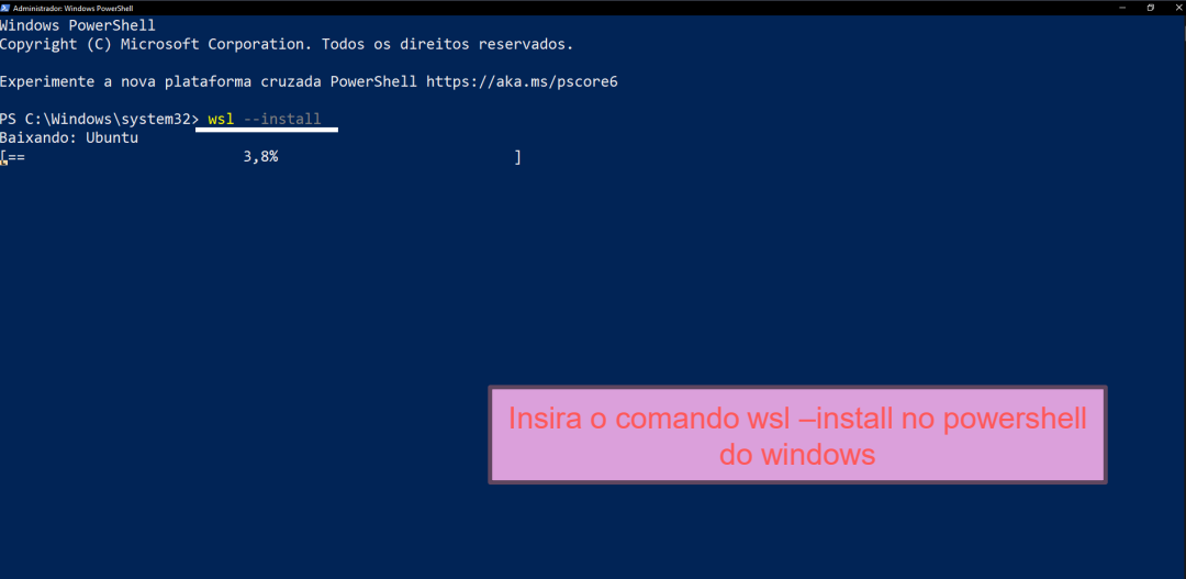 Etapa - 9 WSL
