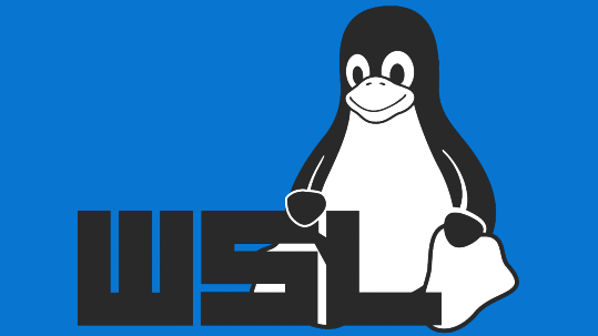 Etapa - 15 WSL